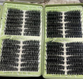 Lash Clusters